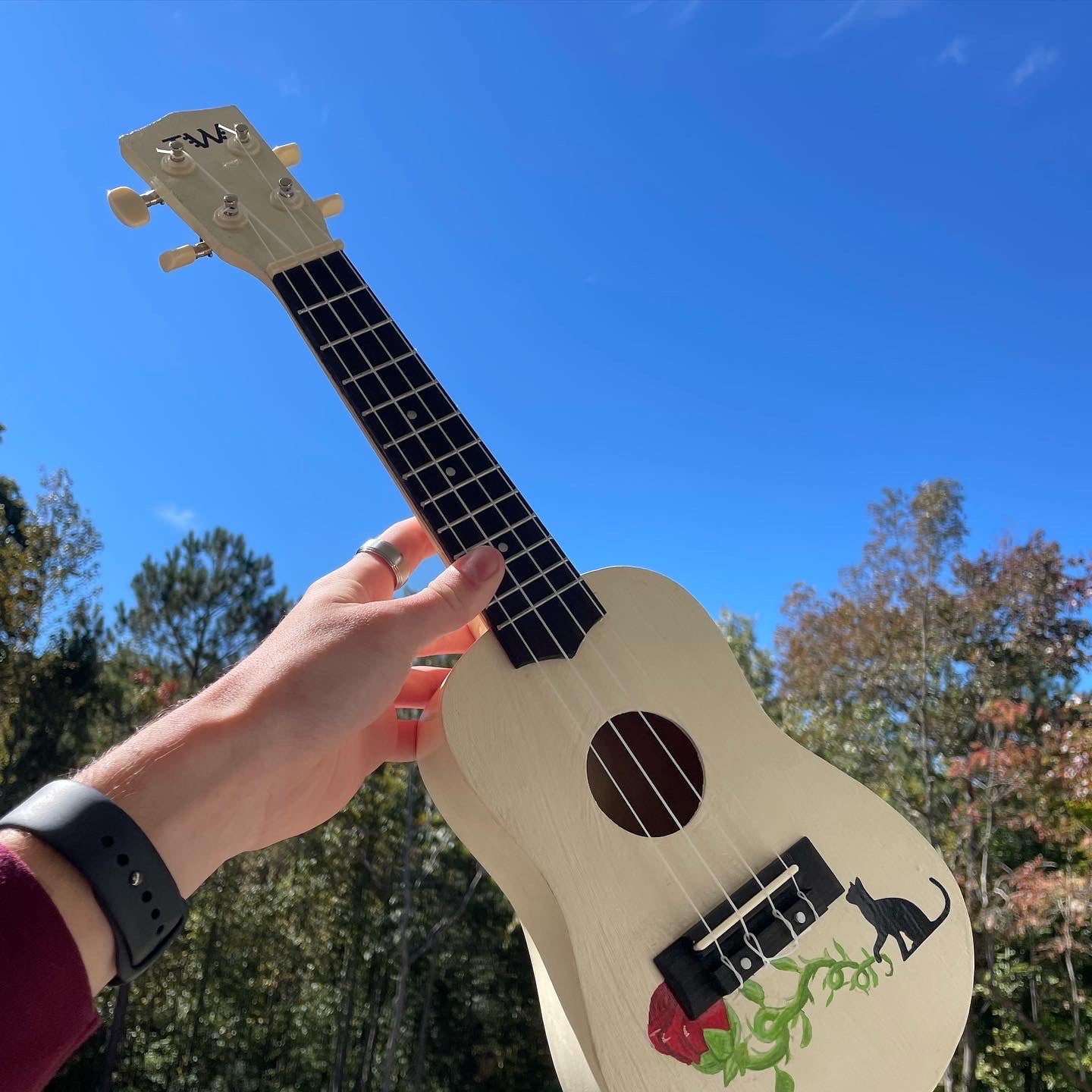 Design your own Ukulele