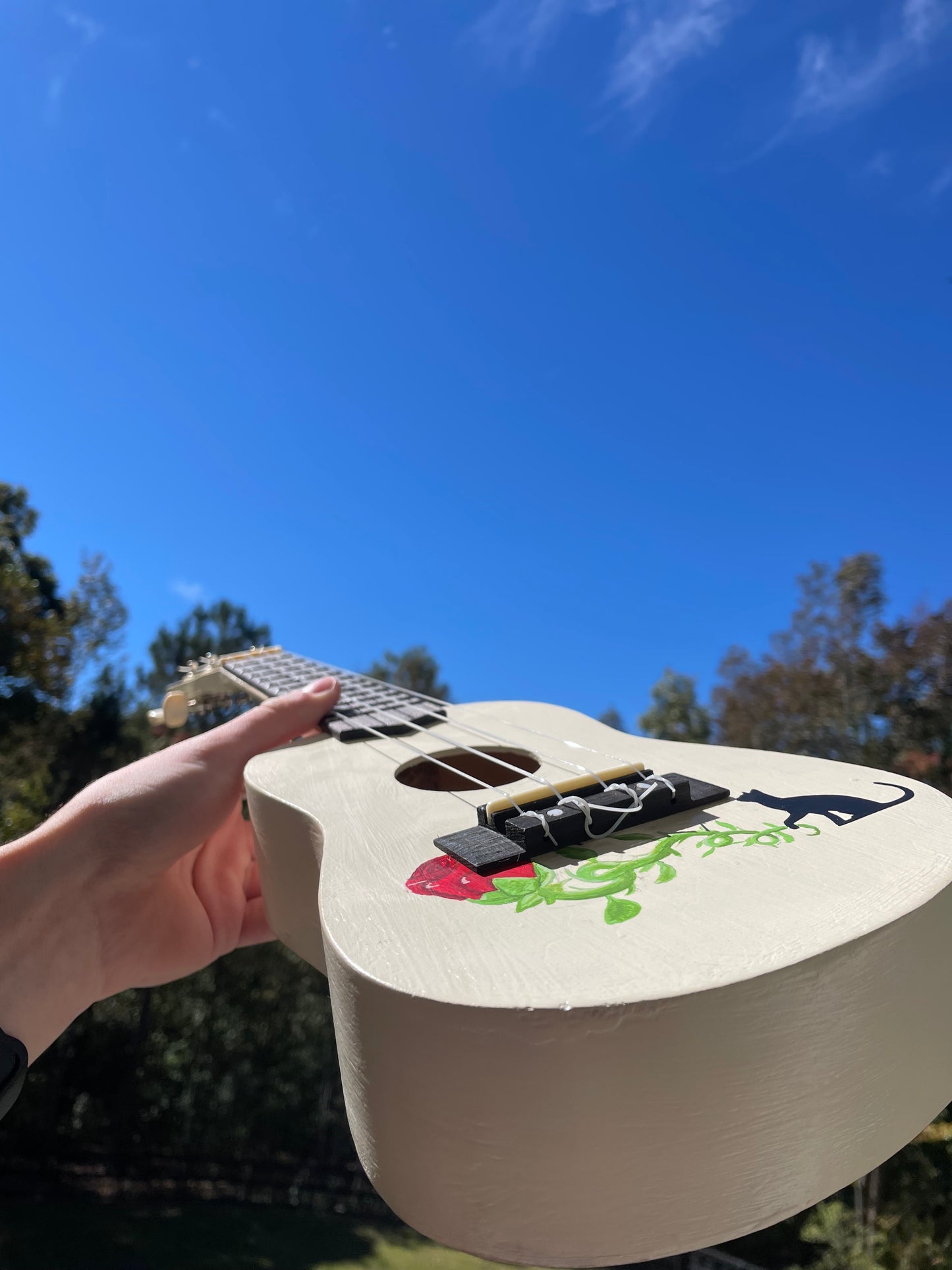 Design your own Ukulele