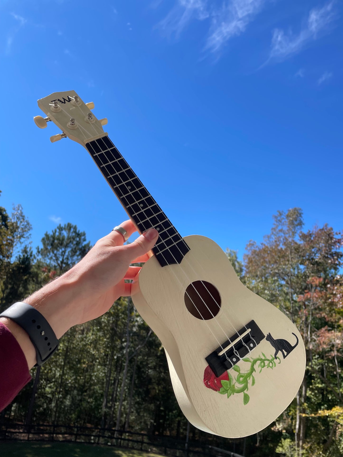 Design your own Ukulele